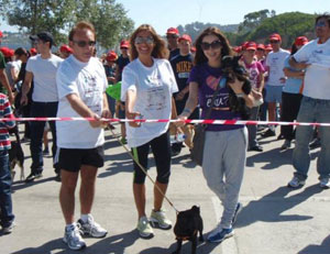 Animalife Pet Fest: porque os animais também merecem