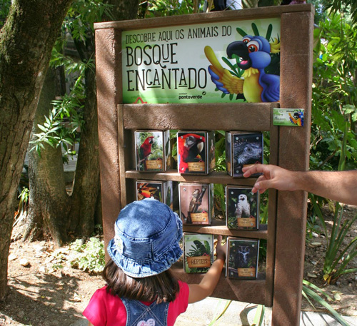 Sociedade Ponto Verde e Zoo ensinam os mais novos